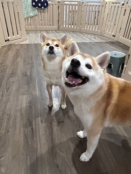 マル的這些日子 (22).jpg