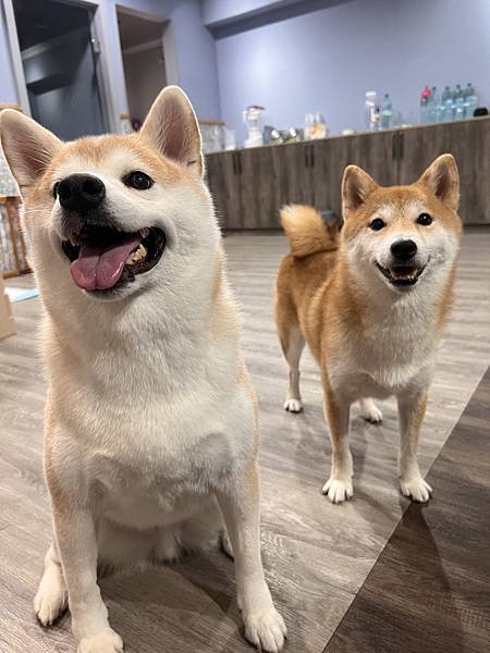 マル的這些日子 (25).jpg