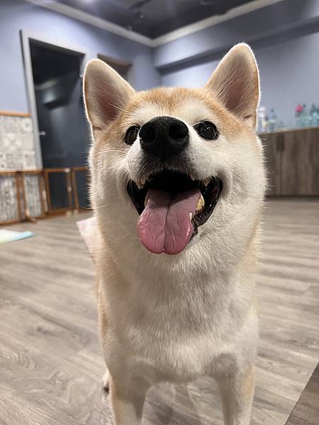 マル的這些日子 (27).jpg