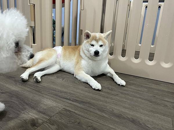 マル的這些日子 (31).jpg