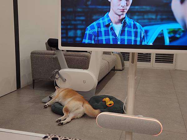 マル的這些日子 (34).jpg