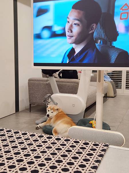 マル的這些日子 (36).jpg