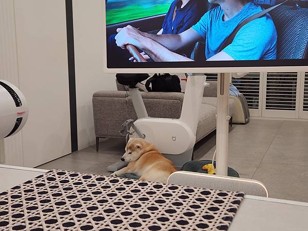 マル的這些日子 (35).jpg