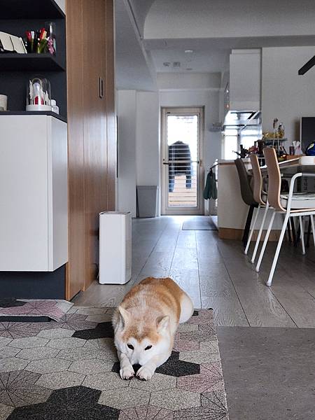 マル的這些日子