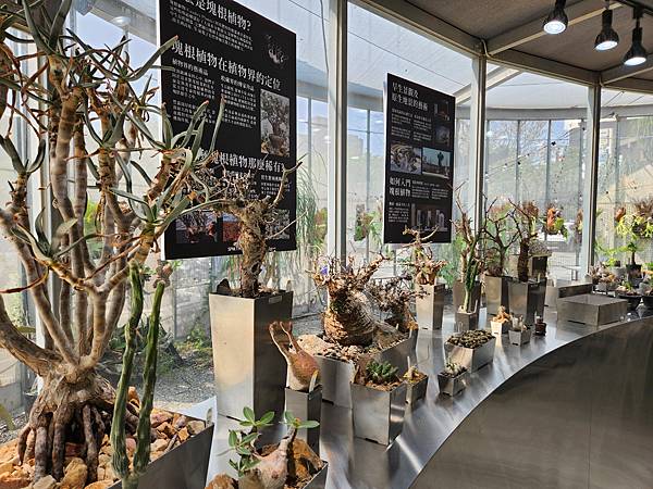 亞亞的PARK2草悟廣場 (23).jpg