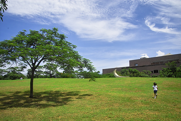 高雄市市立美術館旁草坡.jpg