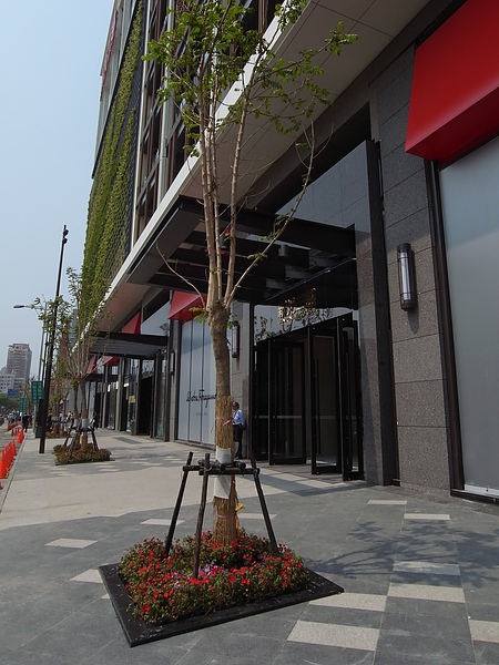 高雄市新光三越左營店 (15).JPG