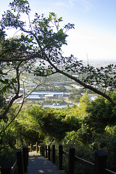 高雄市半屏山自然公園遠眺.jpg