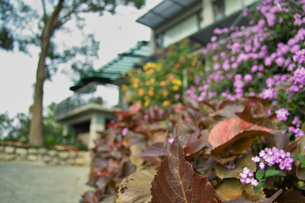 潭子風動石餐廳蒙太奇.jpg