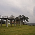 台東縣卑南鄉原生應用植物園中央觀景棧道3.jpg