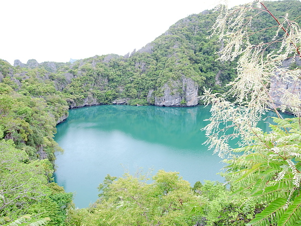 泰國蘇梅島安通國家公園 (15).JPG