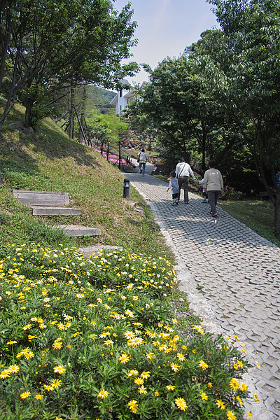 台北北投發現花園花道.jpg