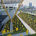 高雄市捷運中央公園站綠野黃花.jpg