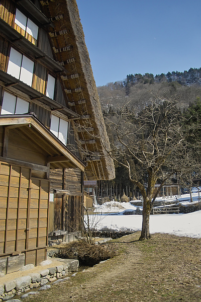 日本岐阜縣白川鄉合掌村暖冬.jpg