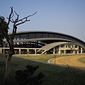 台南縣麻豆鎮真理大學體育館+枯樹.jpg