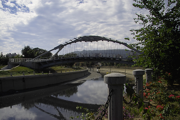 高雄市農21景觀吊橋全景2.jpg