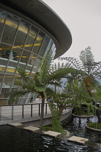 台東縣卑南鄉原生應用植物園植物生活伴手館5.jpg