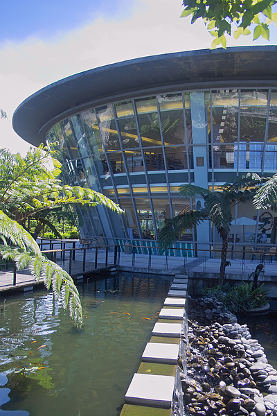 台東縣卑南鄉原生應用植物園主建築水池.jpg