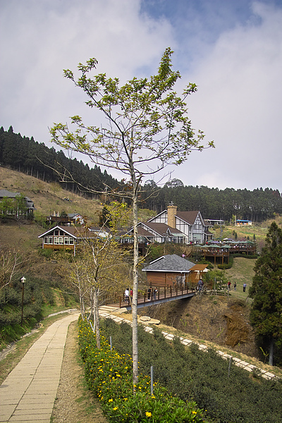 新竹縣五峰鄉山上人家餐廳遠景.jpg