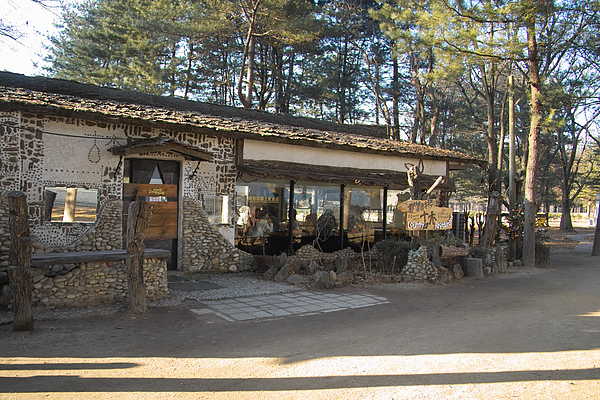 韓國南怡島古木餐廳.jpg