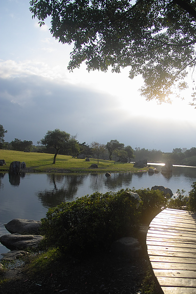 宜蘭縣羅東鄉羅東運動公園水中島之初晨.jpg