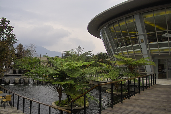 台東縣卑南鄉原生應用植物園植物生活伴手館&水生植物區.jpg