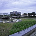 台南縣新市鄉科技園區霞客湖步道2.jpg