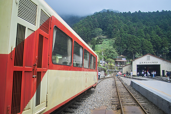 嘉義縣奮起湖車站.jpg