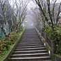 DSC03350.JPG DSC03350.JPG