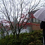 DSC03353.JPG DSC03353.JPG