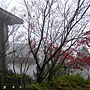 DSC03355.JPG DSC03355.JPG