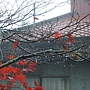 DSC03359.JPG DSC03359.JPG