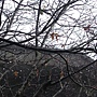 DSC03361.JPG DSC03361.JPG