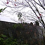 DSC03362.JPG DSC03362.JPG