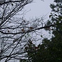 DSC03364.JPG DSC03364.JPG