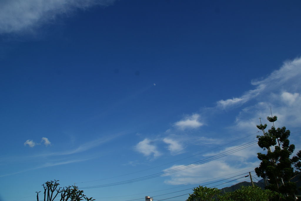 DSC01817 DSC01817