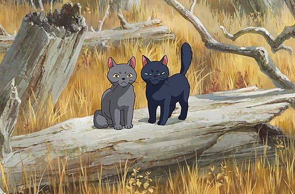 20170711134335.jpg 20170711134335.jpg