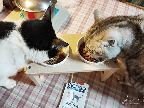 瑪恩吉貓咪濕食_210411_22.jpg