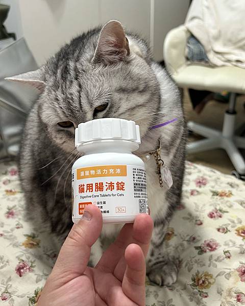 【寵物保健食品推薦】奧沛OurPet貓用腸沛錠評價心得