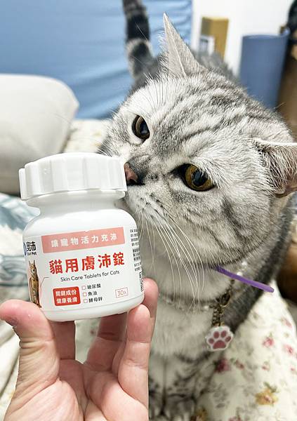 【貓咪毛髮保養推薦】奧沛OurPet貓用膚沛錠評價心得｜維持