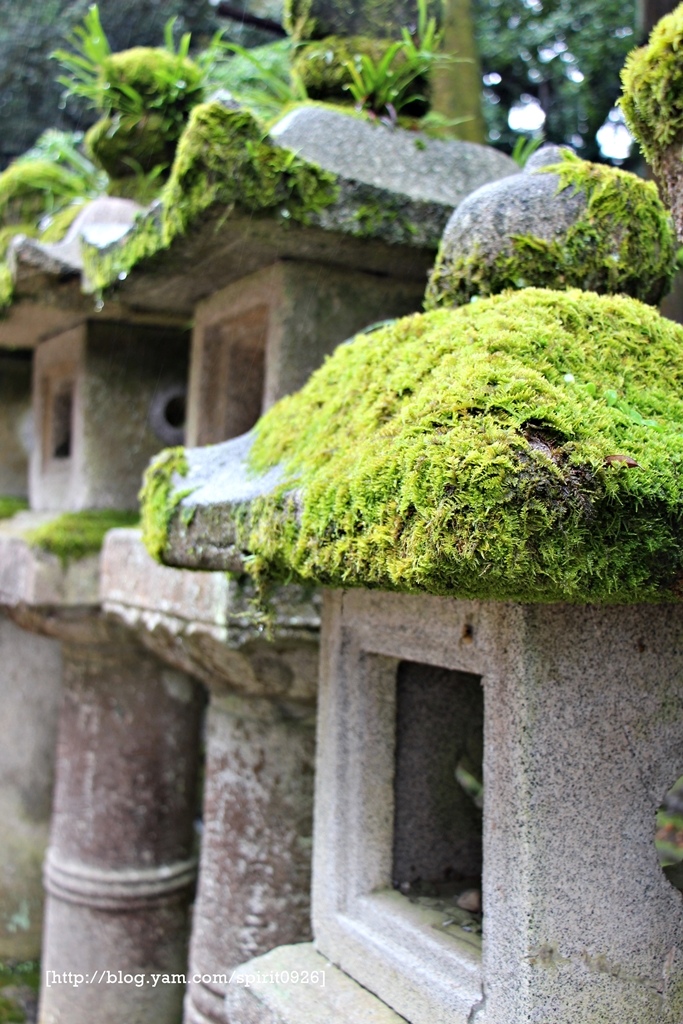 關西輕旅行(26)奈良美食-びっくりうどん　三好野-近鐵奈良