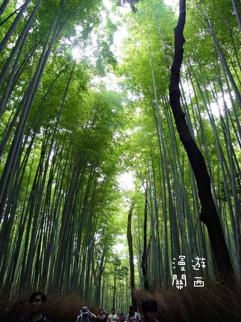 慢遊關西(7)嵐山竹林、野宮神社、嵐山大街