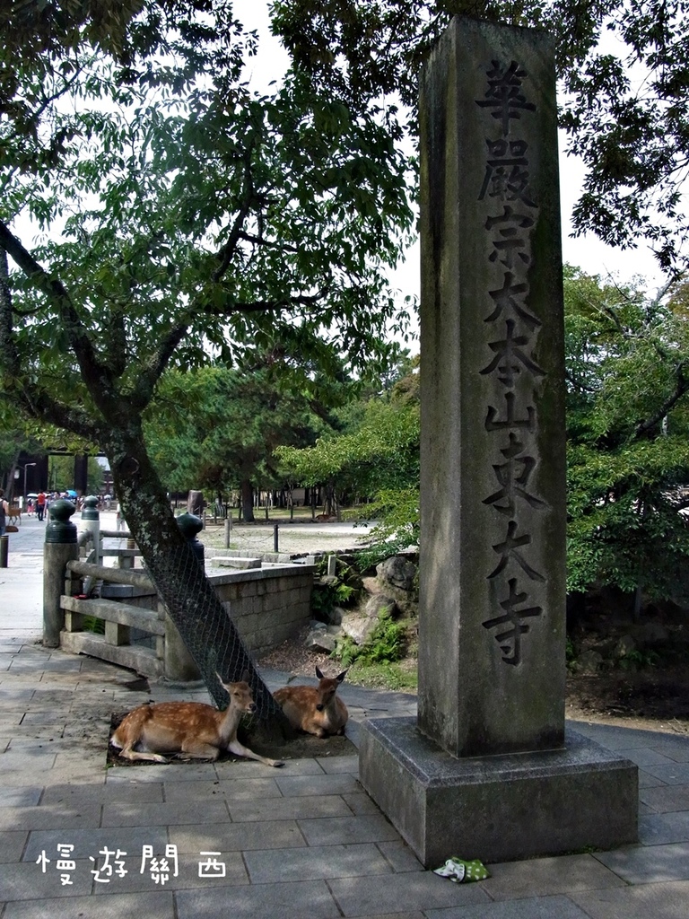 慢遊關西(36)奈良景點－奈良公園、世界遺產華嚴宗大本山東大