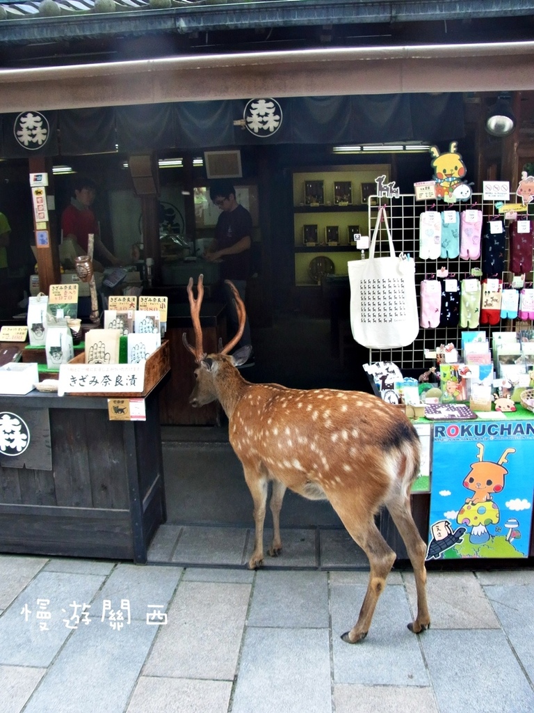 慢遊關西(36)奈良景點－奈良公園、世界遺產華嚴宗大本山東大