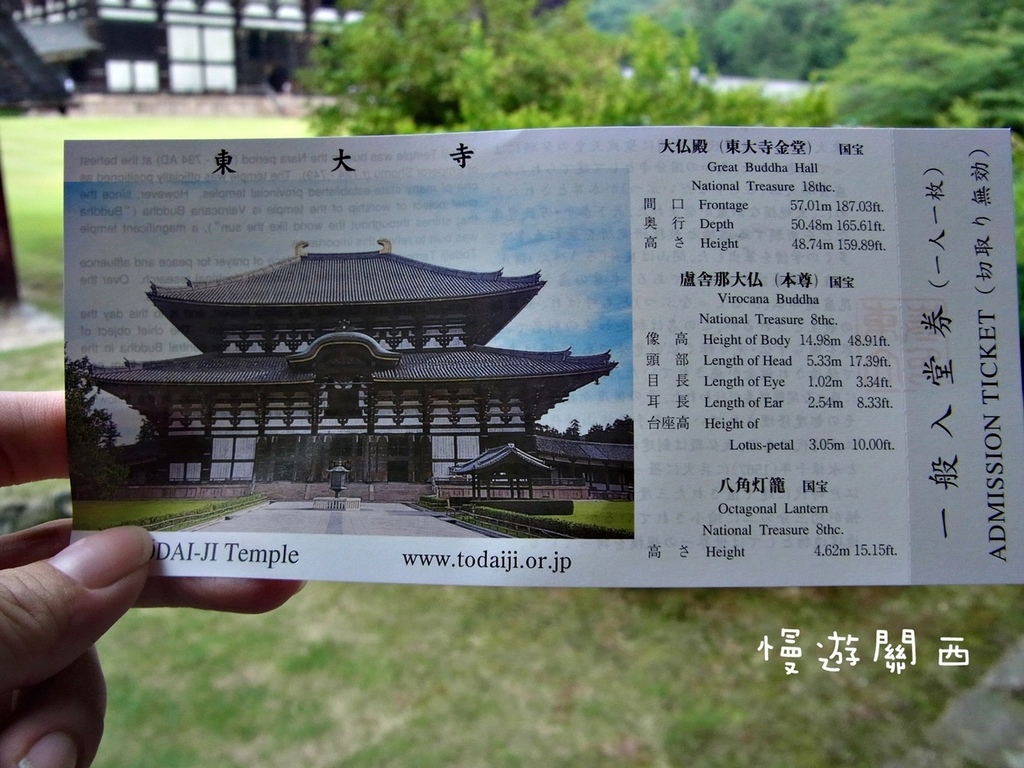 慢遊關西(36)奈良景點－奈良公園、世界遺產華嚴宗大本山東大