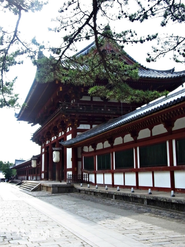 慢遊關西(36)奈良景點－奈良公園、世界遺產華嚴宗大本山東大