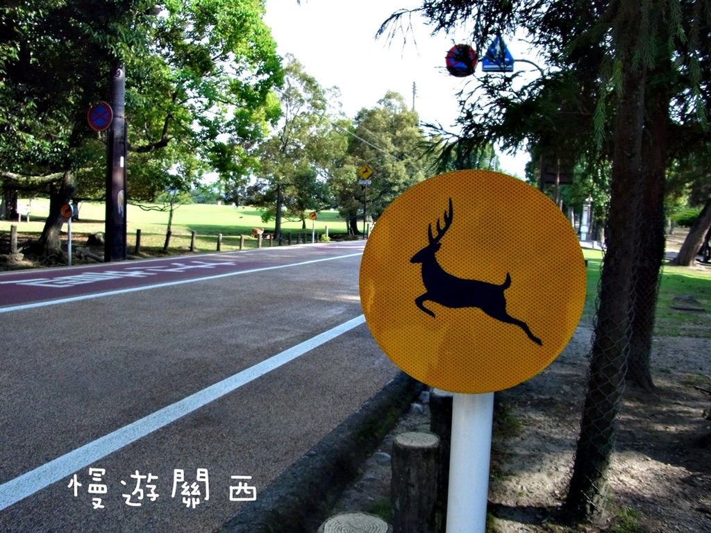 慢遊關西(36)奈良景點－奈良公園、世界遺產華嚴宗大本山東大