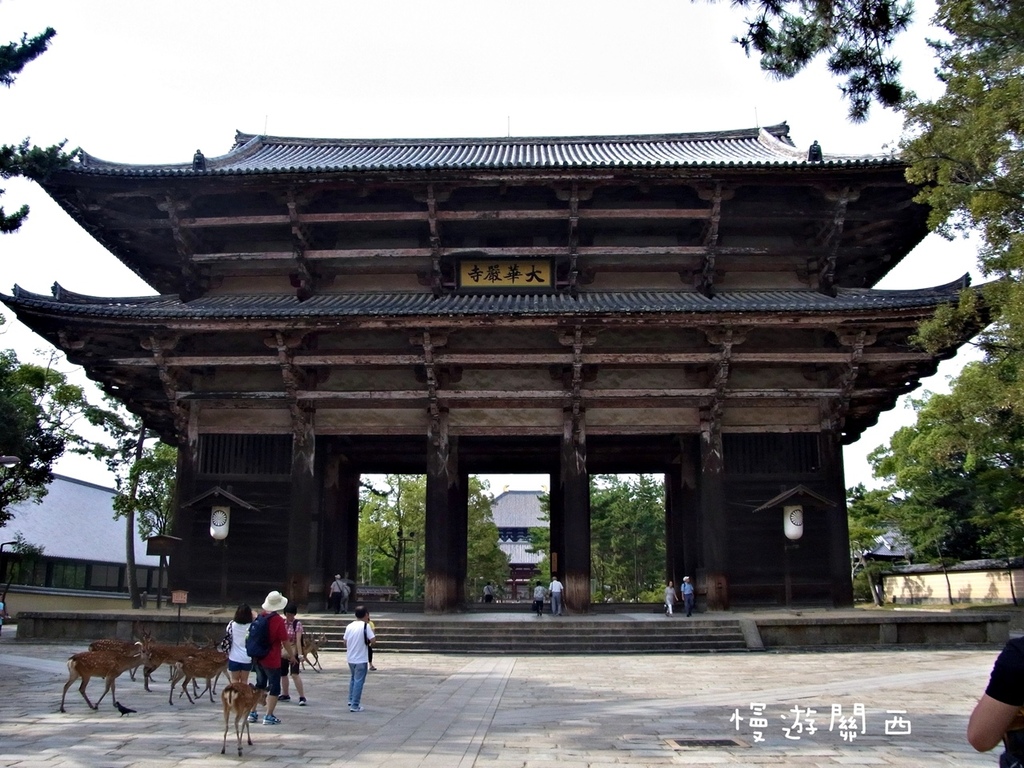 慢遊關西(36)奈良景點－奈良公園、世界遺產華嚴宗大本山東大