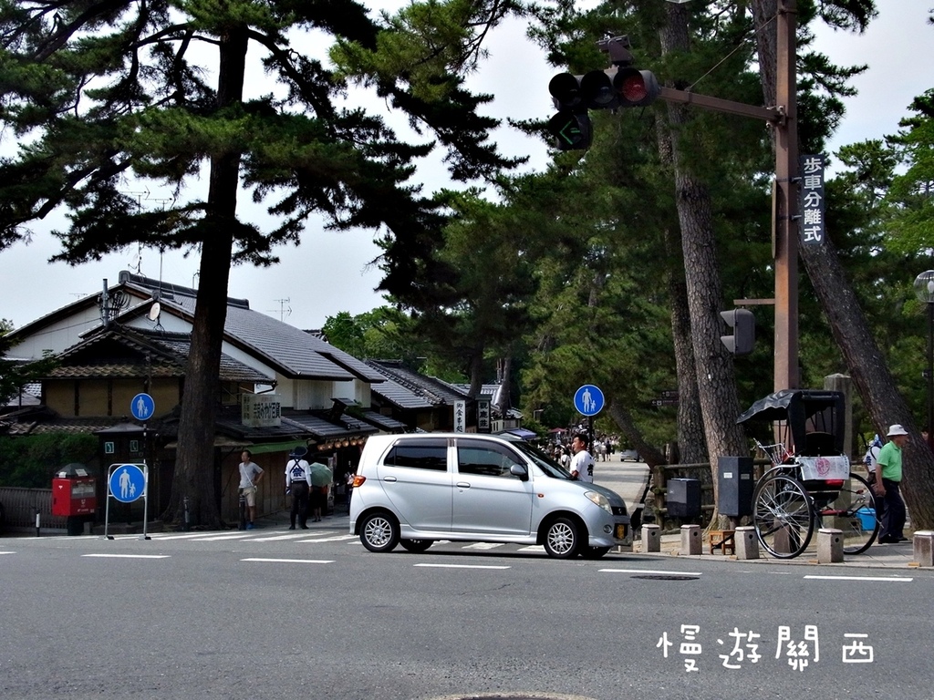 慢遊關西(36)奈良景點－奈良公園、世界遺產華嚴宗大本山東大