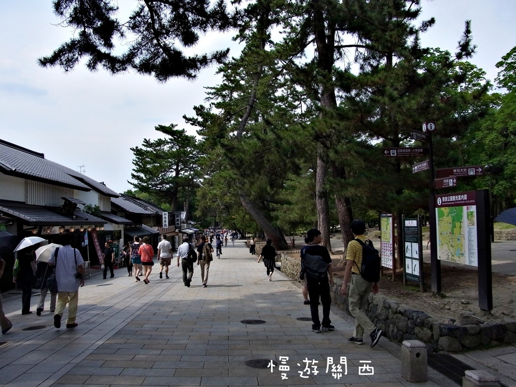 慢遊關西(36)奈良景點－奈良公園、世界遺產華嚴宗大本山東大